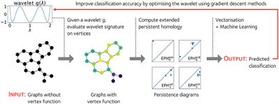 Optimization of Spectral Wavelets for Persistence-Based Graph Classification